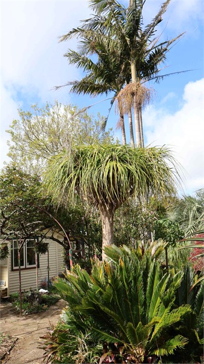 View from cottage lounge