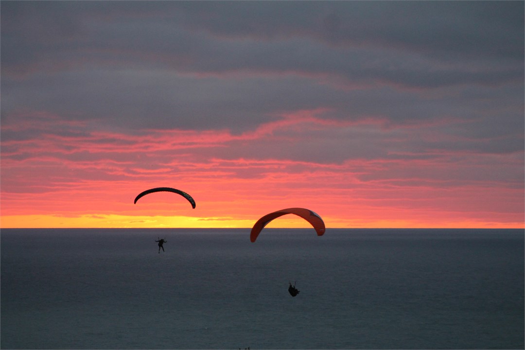 Paraponting at Muriwai