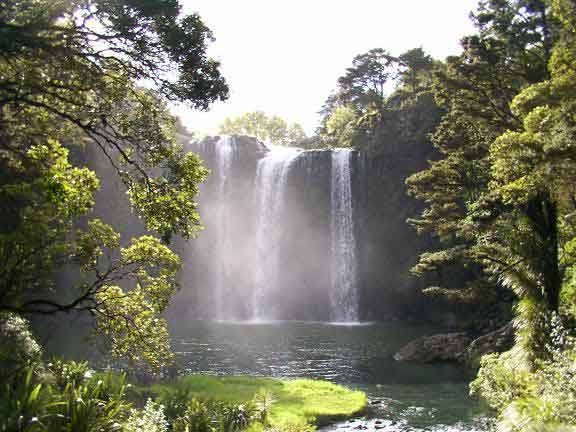 Whangarei Falls