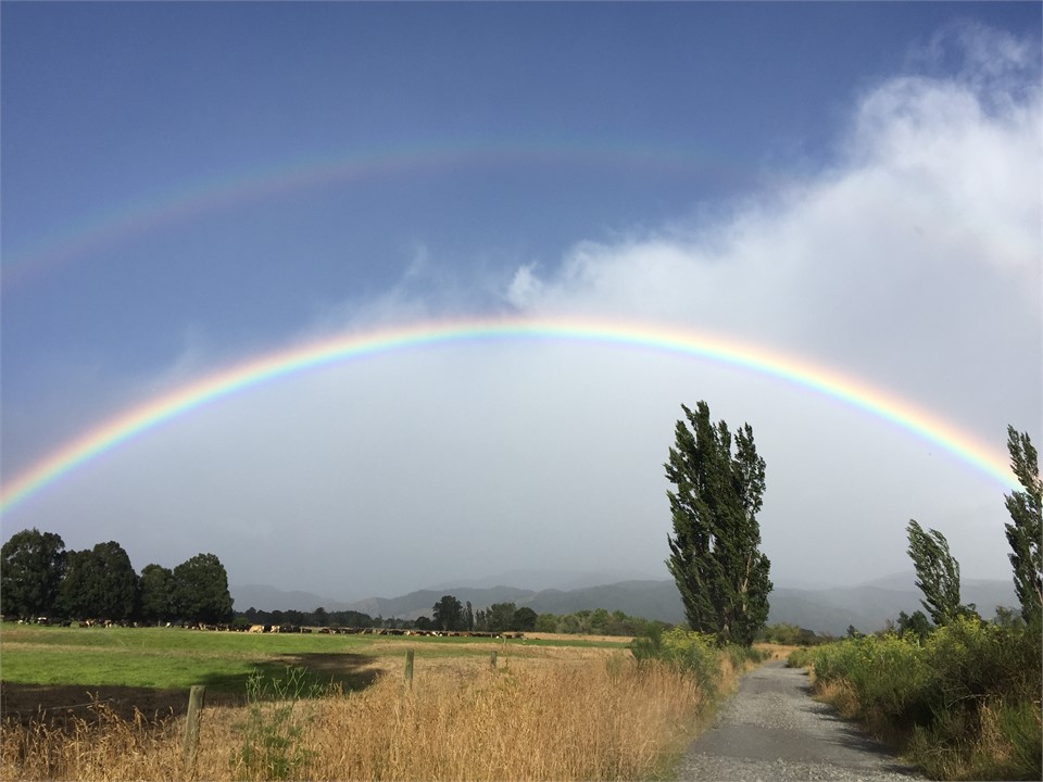 Nearby Greytown Trail