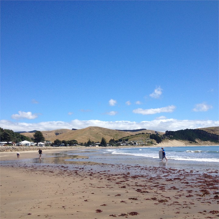Castlepoint main beach - 2 min.Flat walk