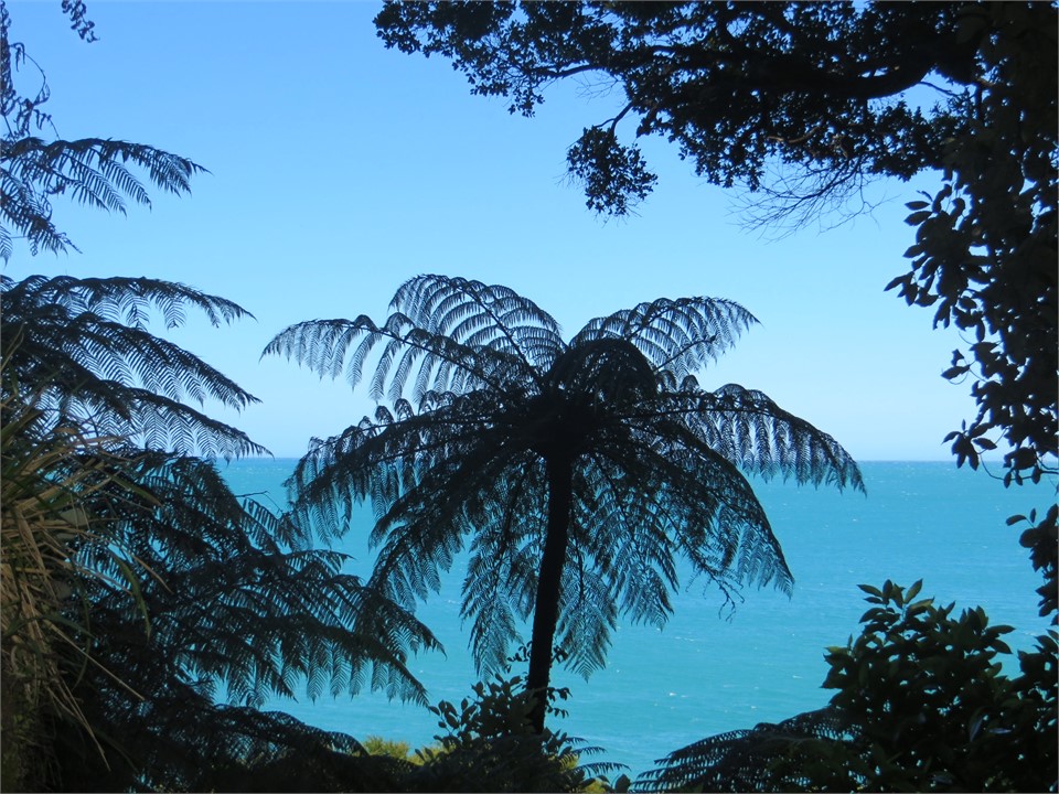 short drive to Totaranui