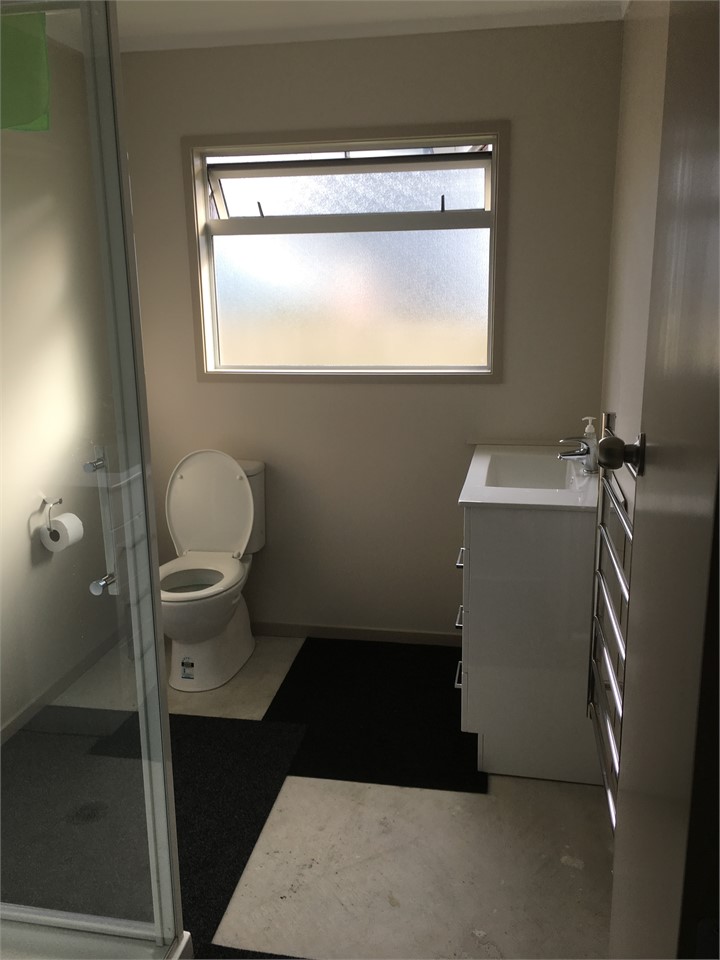 Main shower, toilet and bathroom