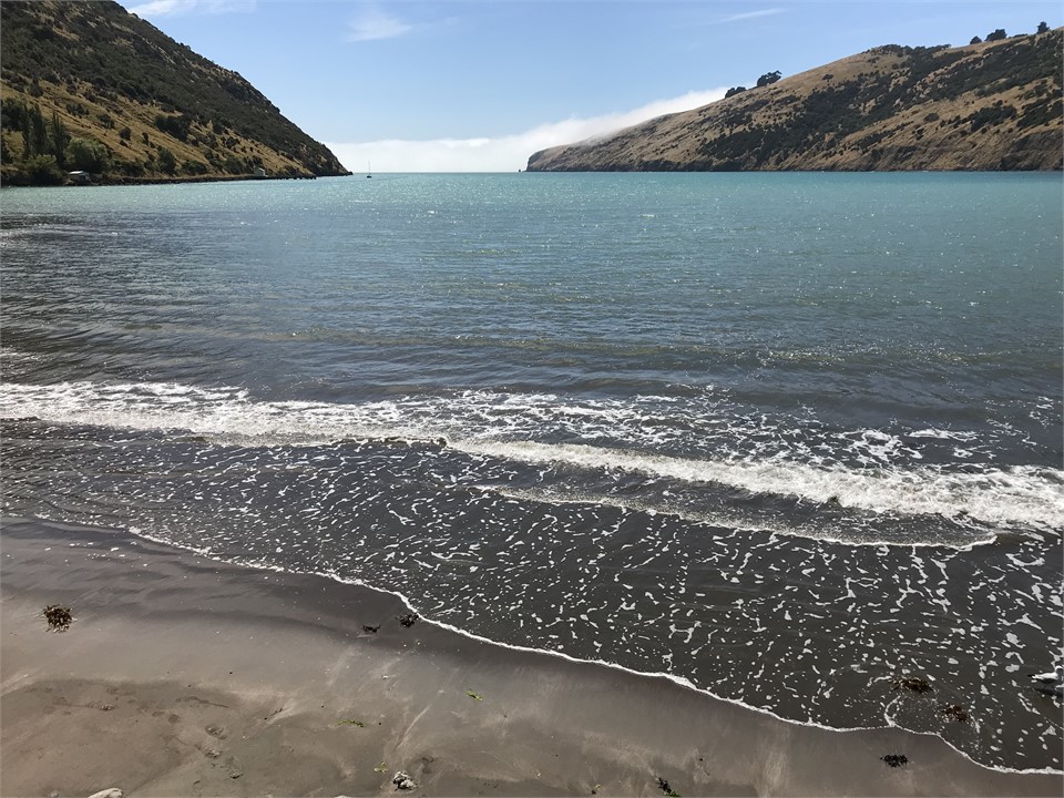 The Bay. (not from the house)