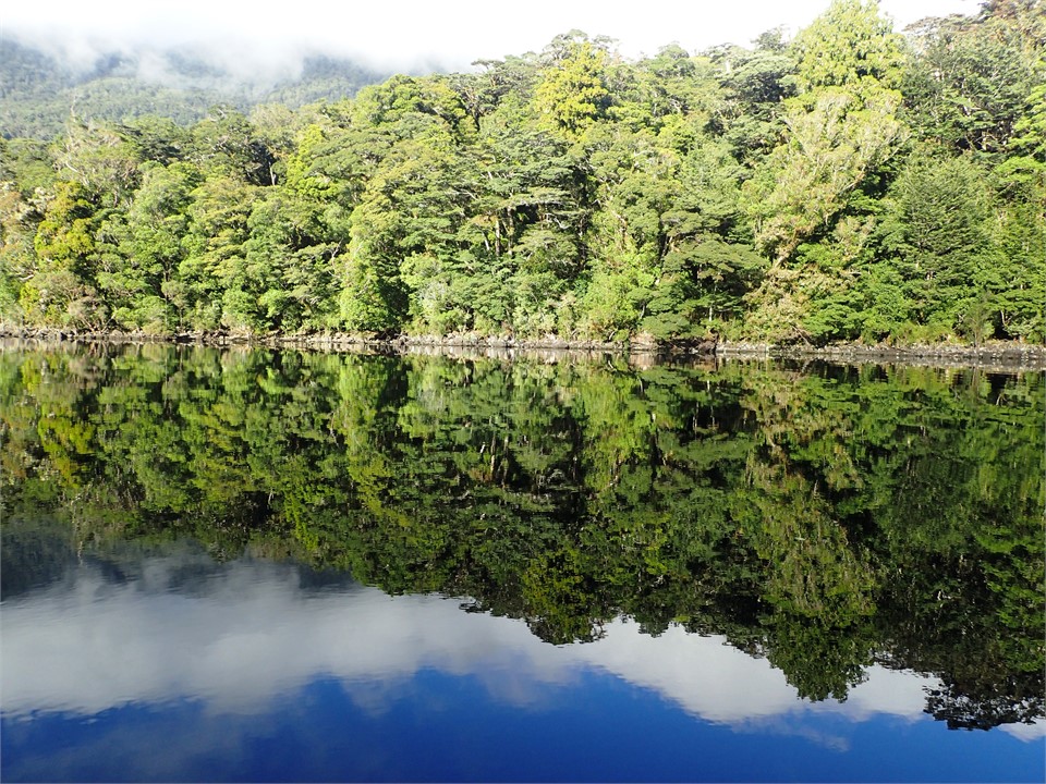 Reflections on Lake Te Anau