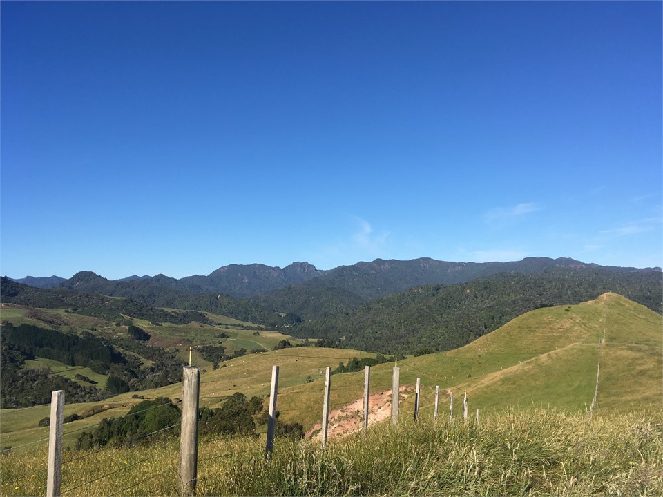 View towards Tapu  Coroglen Road