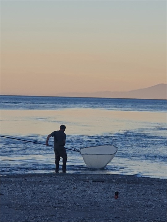 Whitebaiting on a beautiful Westcoast evening