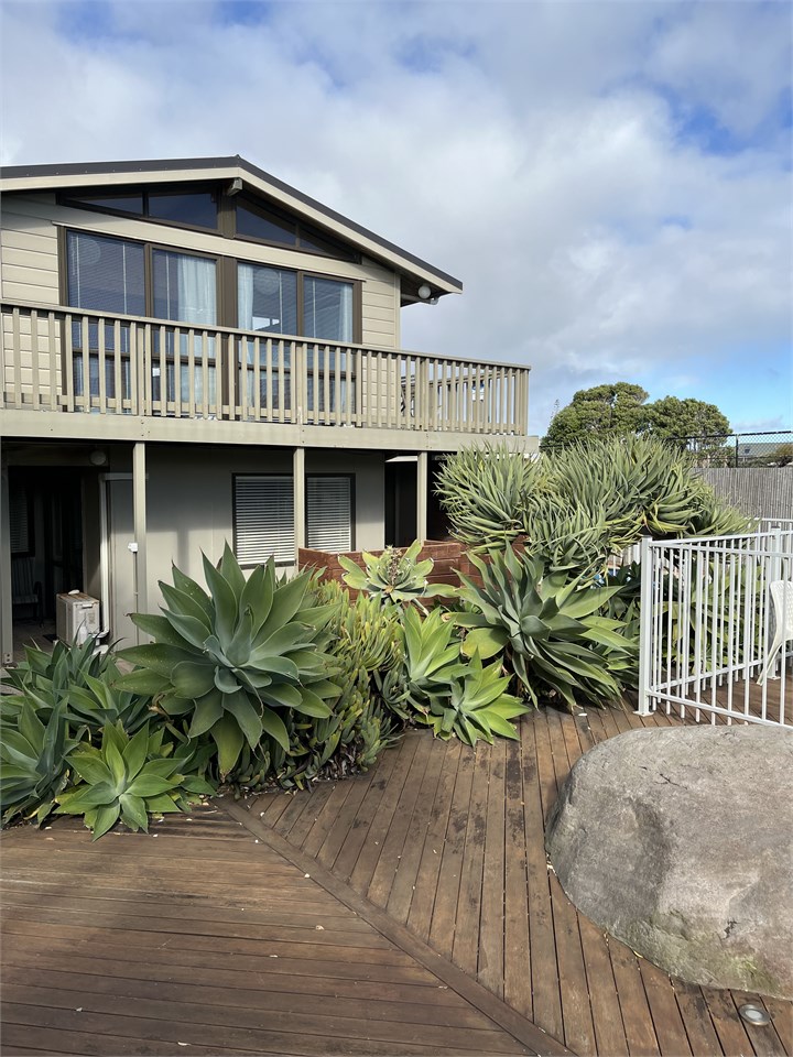 Planting & landscaping