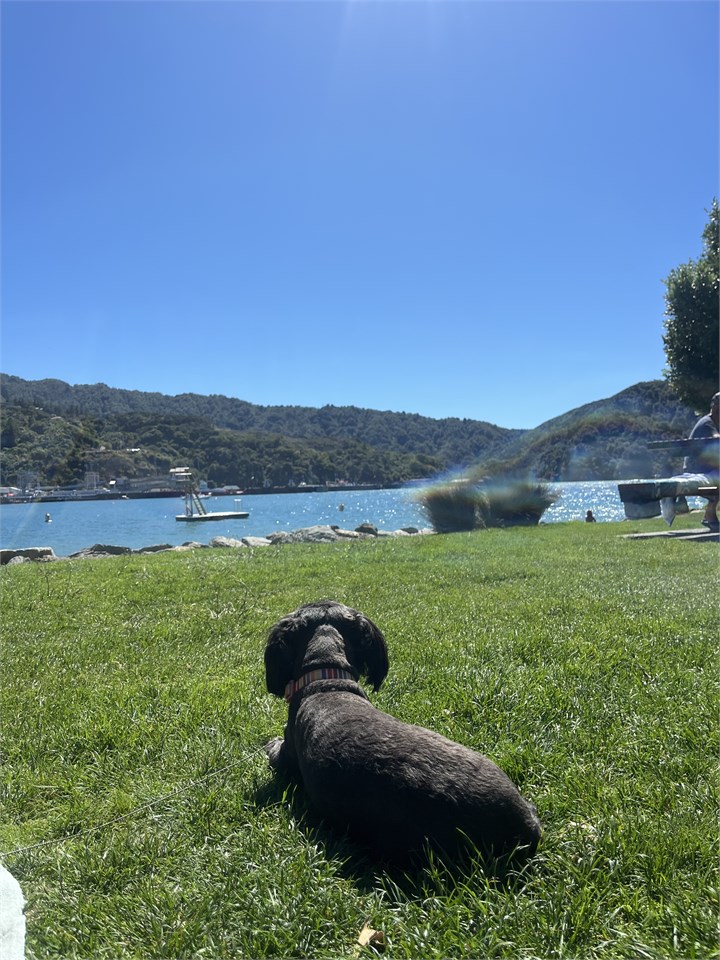 Shelly Beach (ten minute walk away)