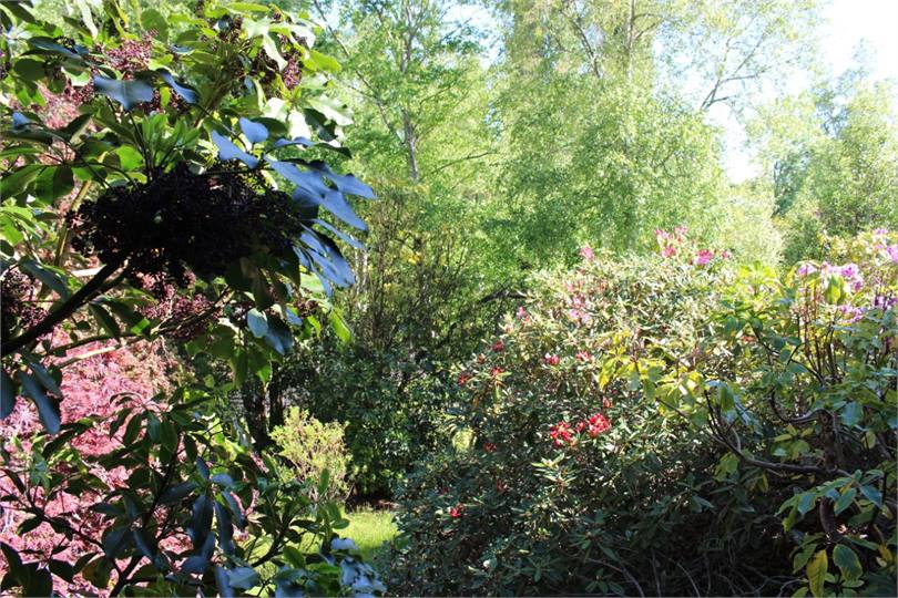 Private bush area at front. 