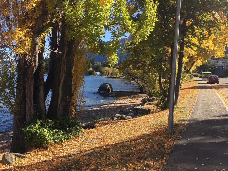 Enjoy a lakefront stroll to the Queenstown Gardens