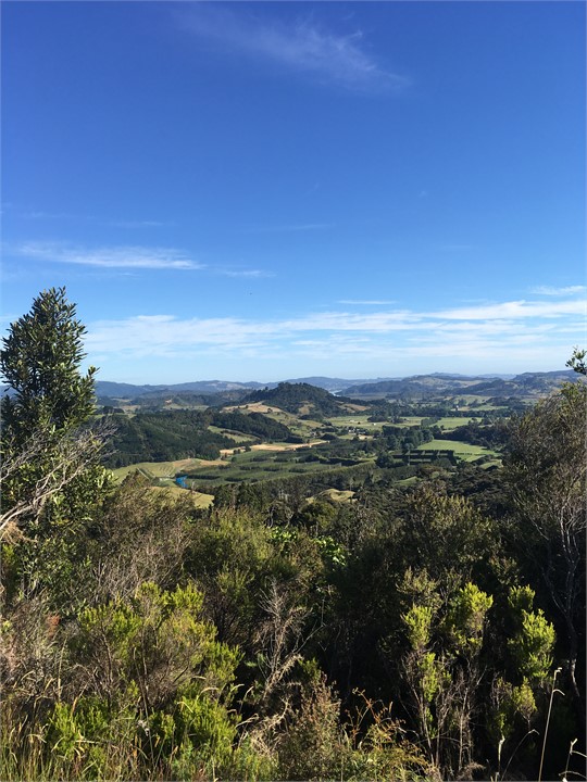Looking out to  Whitianga  township and estuary