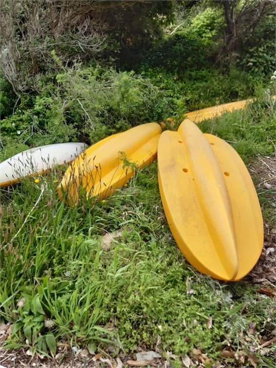 Kayaks for your use