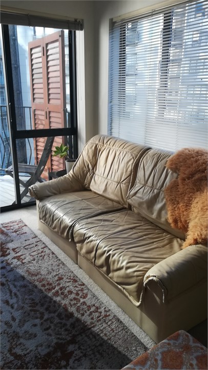 Leather comfy couch, lounge washed in natural ligh