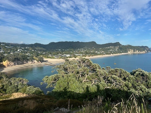 Hahei beach from the Pa
