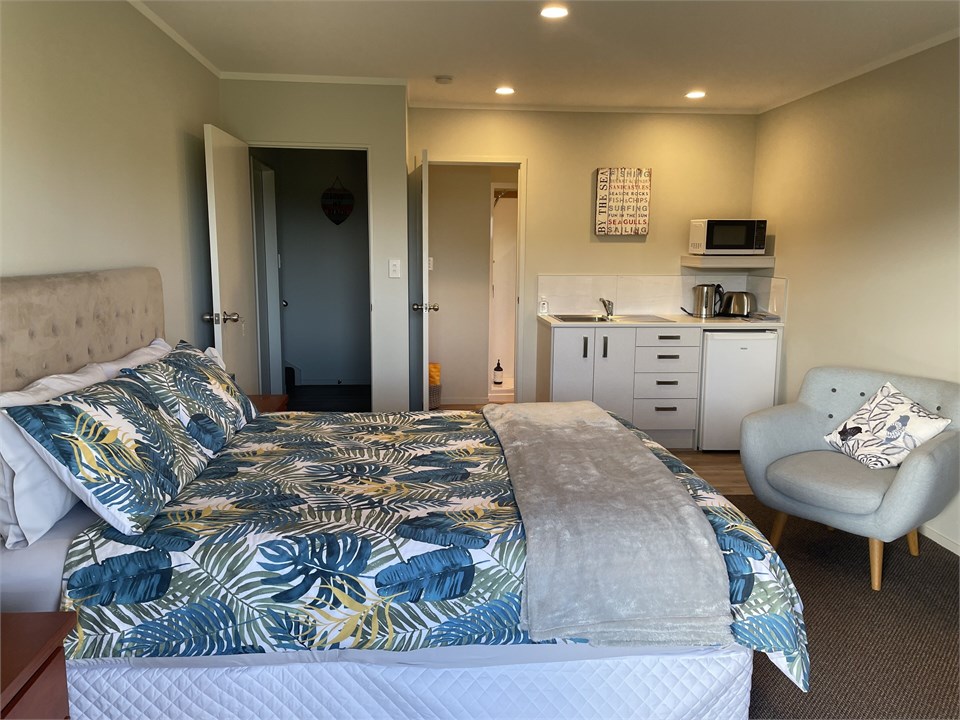 Downstairs bedroom with kitchenette
