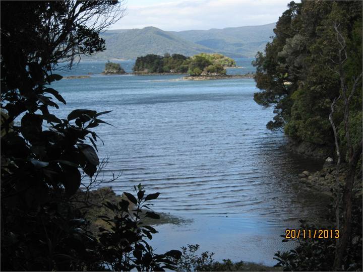 Paterson Inlet on way to Kaipipi
