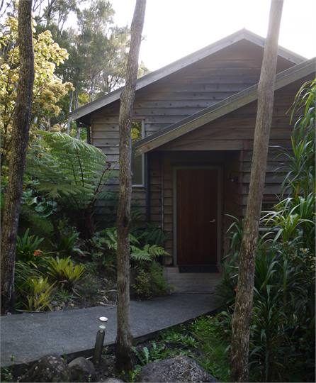 Apartment set in Native Bush