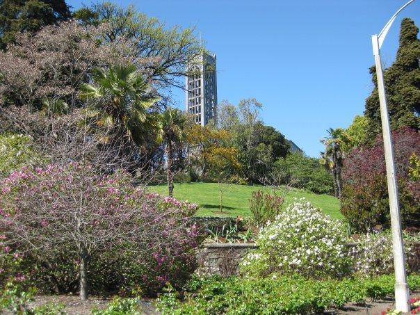 In the heart of Nelson CBD.