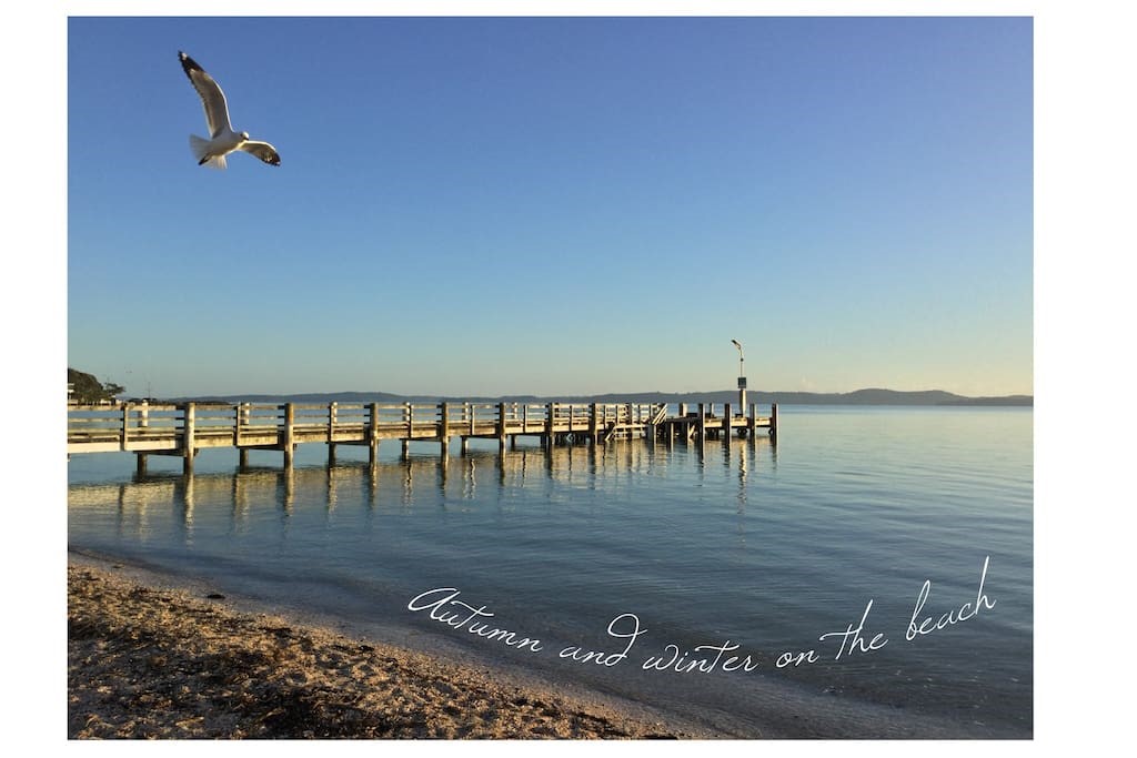 Maraetai beach wharf