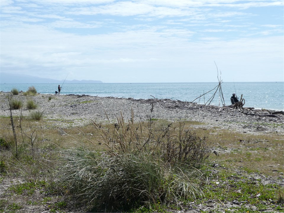 Catch fish from the Kina Peninsula Beach