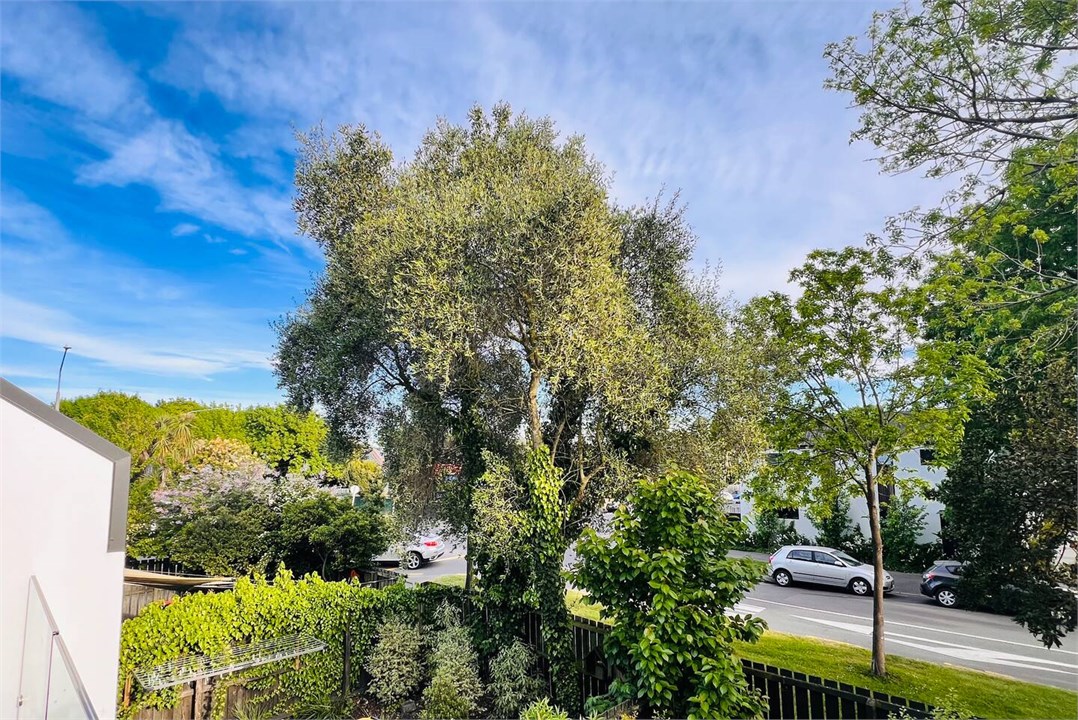 View from the property