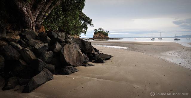 Waiake Beach (6 minutes from house)