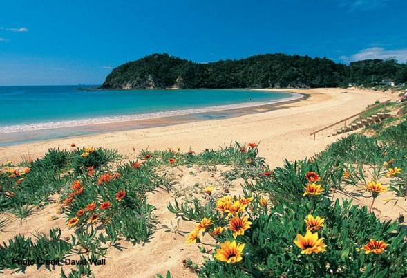 Beaches - 10 mins to coast