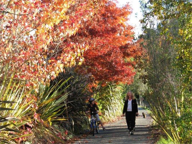 Beautiful drive, walks, privacy, places for kids