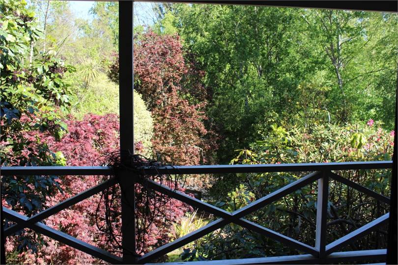 View from lounge/private bush and garden