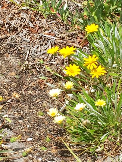 Beautiful Omaha sand dunes right out your back doo