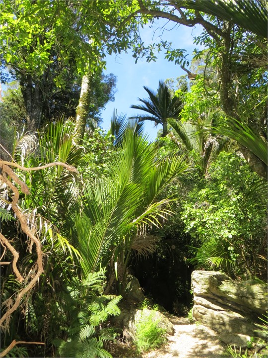 adjacent Grove Reserve