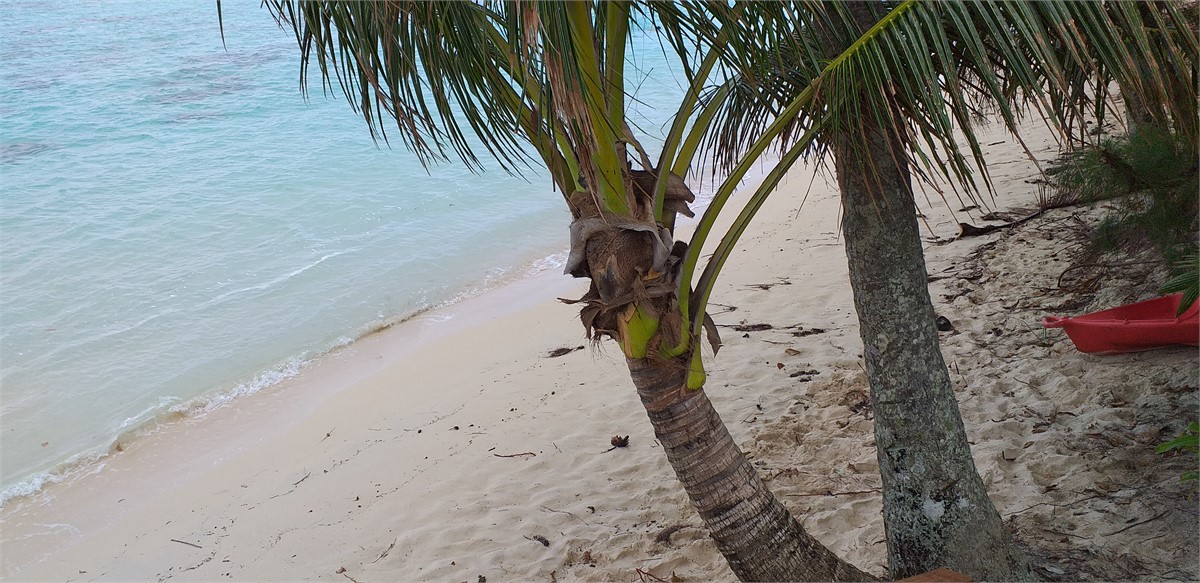 Beach just steps away