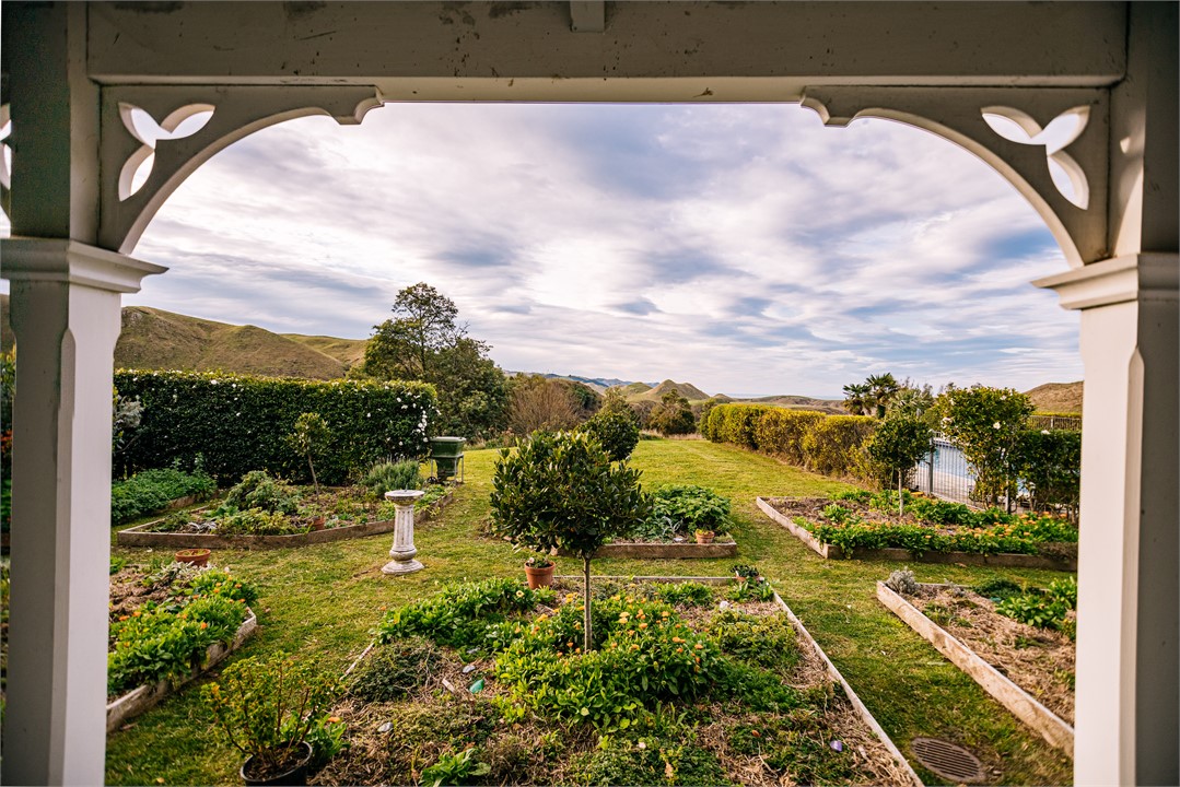 Your fresh herb garden with thymes, oregano, bay t