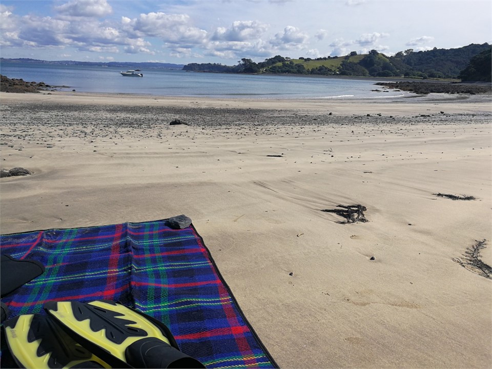 Enjoy the local beaches