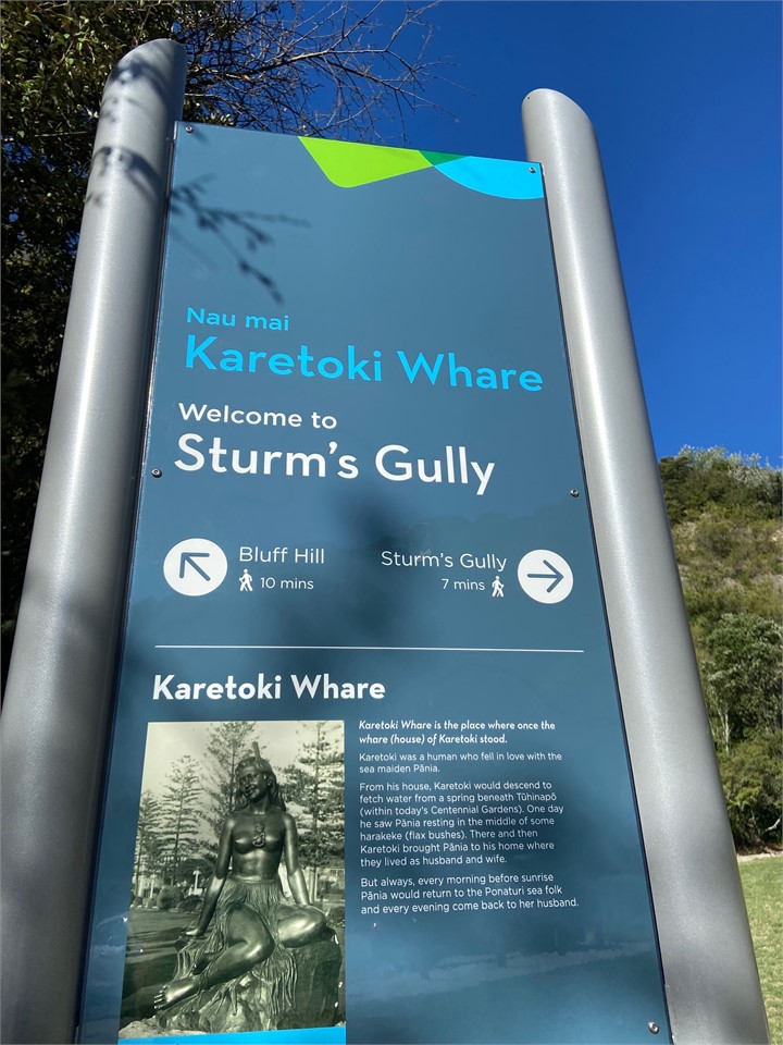 Sturms Gully at end of Hornsey Rd