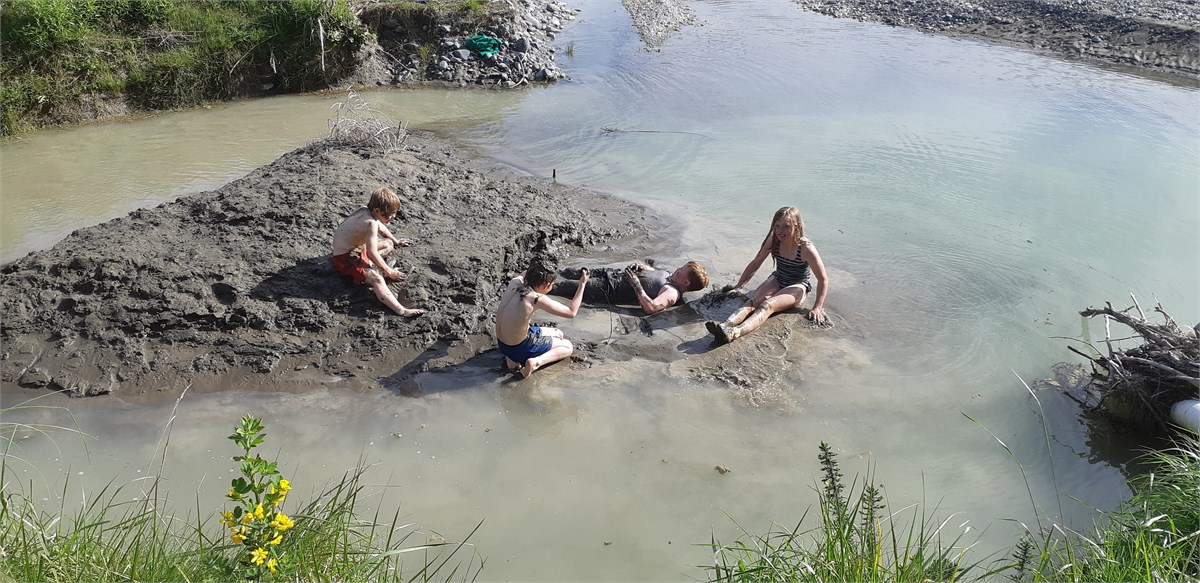 Playing in the mud in the irrigation pond.