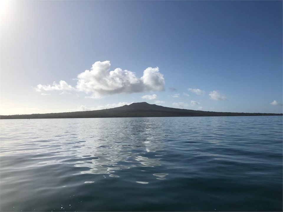 Narrow Neck Beach Studio Apartment North Shore (Auckland) Studio for