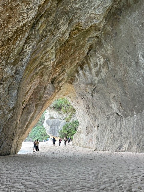 Cathedral cove arch