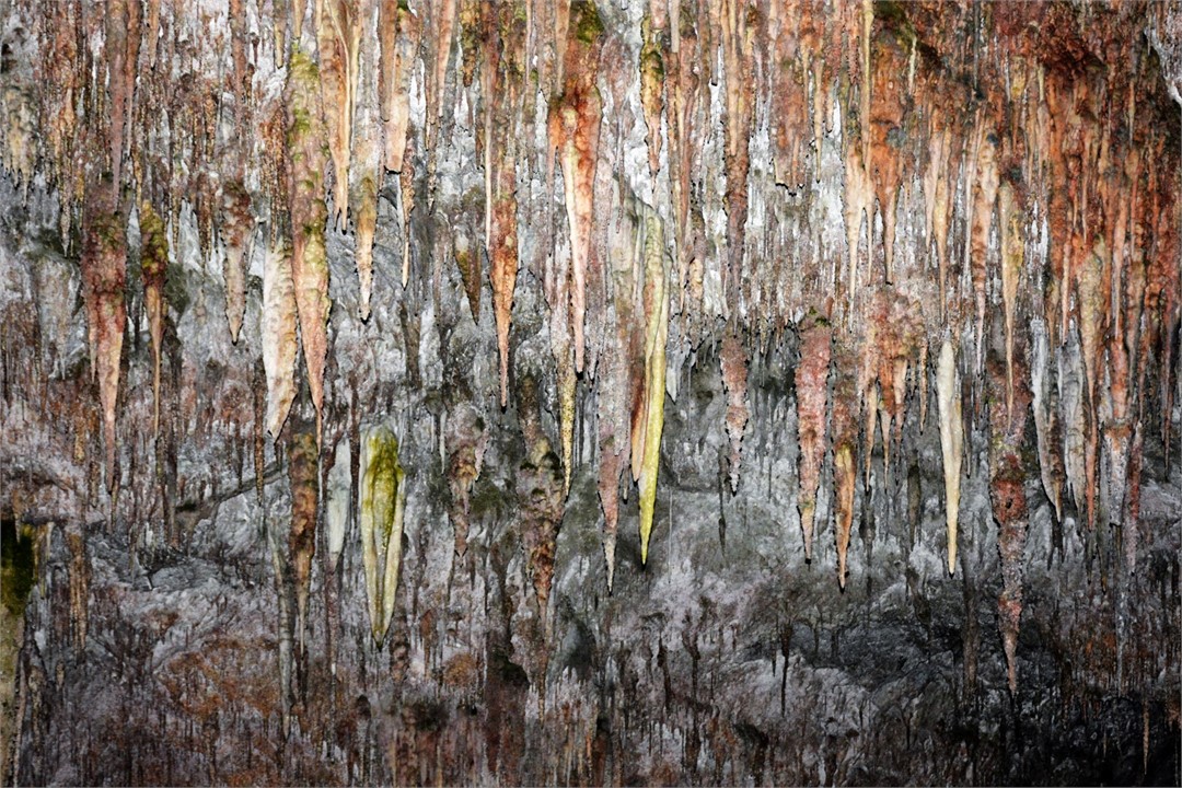 Rawhiti Caves, 10 Minutes Drive, Then 1 Hour Walk