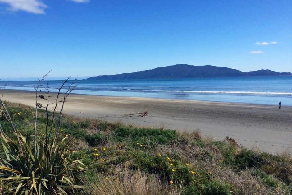Kapiti's best beach. Just 30 seconds away