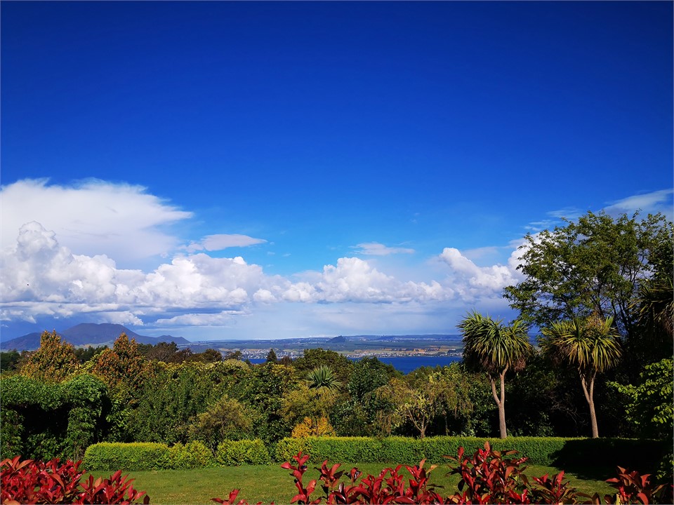 overlooking Taupo Lake