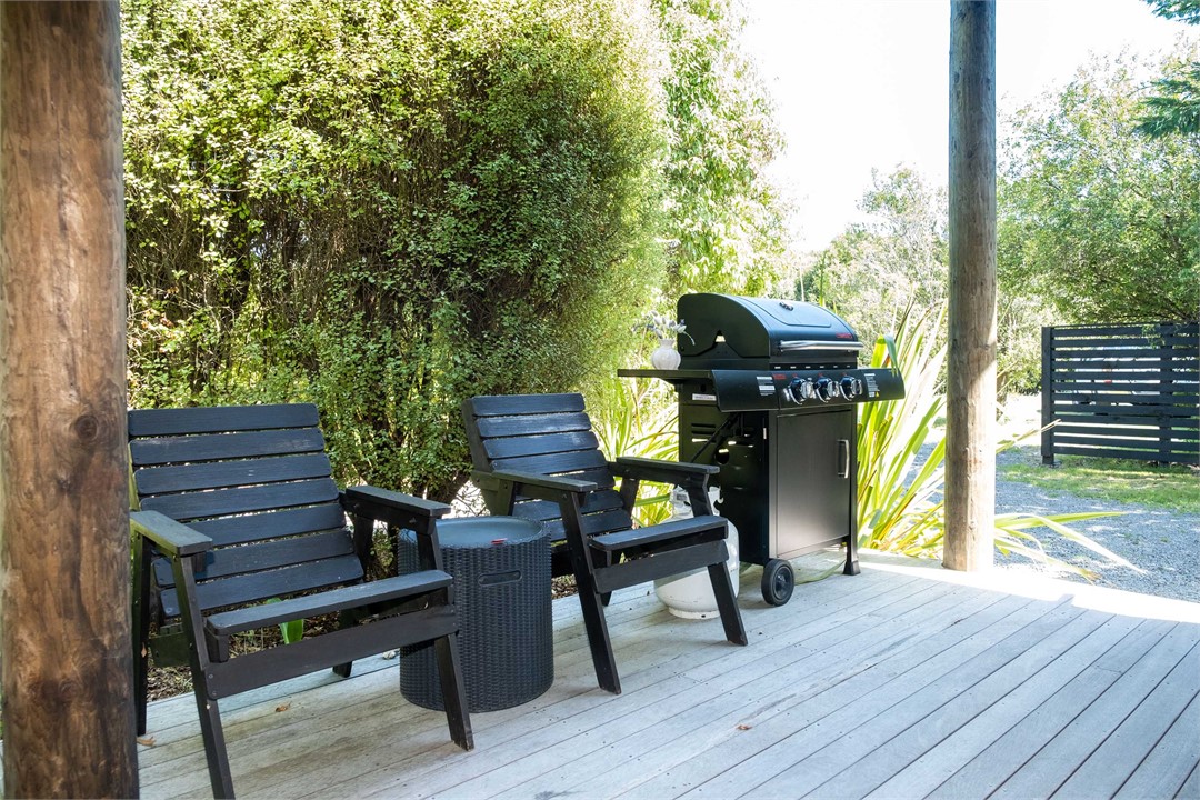 back deck and BBQ
