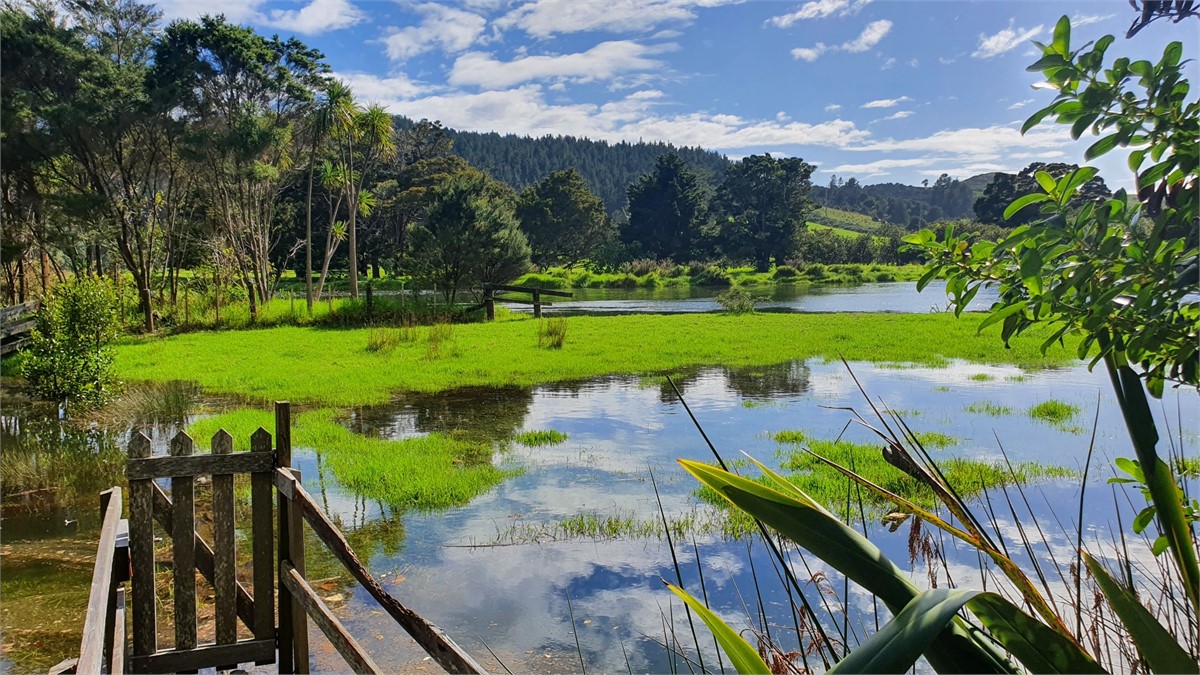 Overlooking the beautiful Takou River