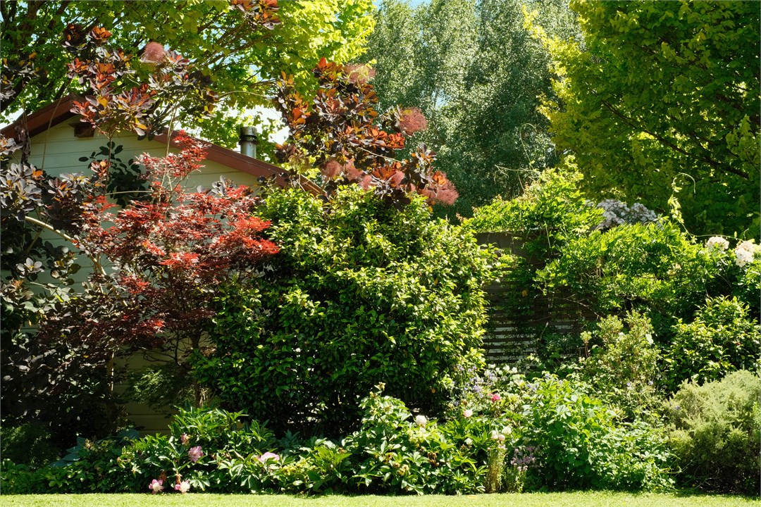 Rose cottage - tranquility enhanced by extensive p