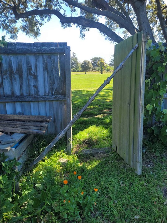 Back gate to park