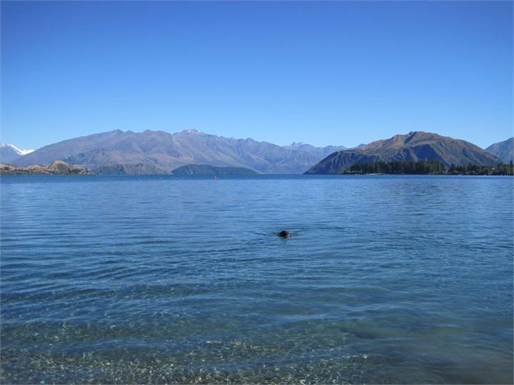 Lake Wanaka - 20 mins. away