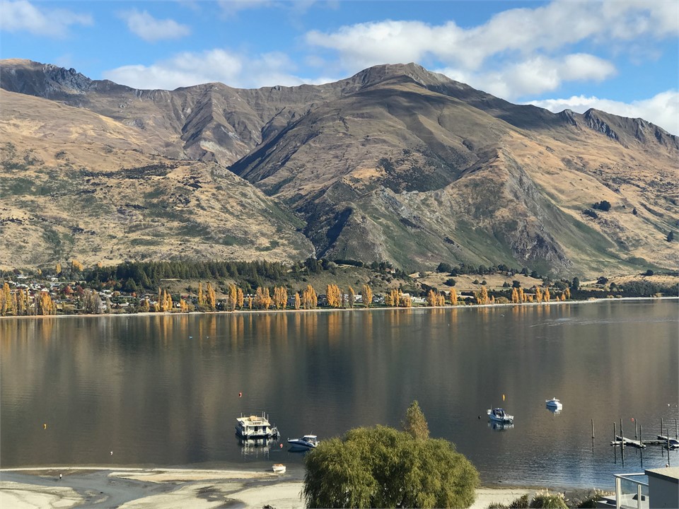 View from Lismore Park over Roy's Bay Marina