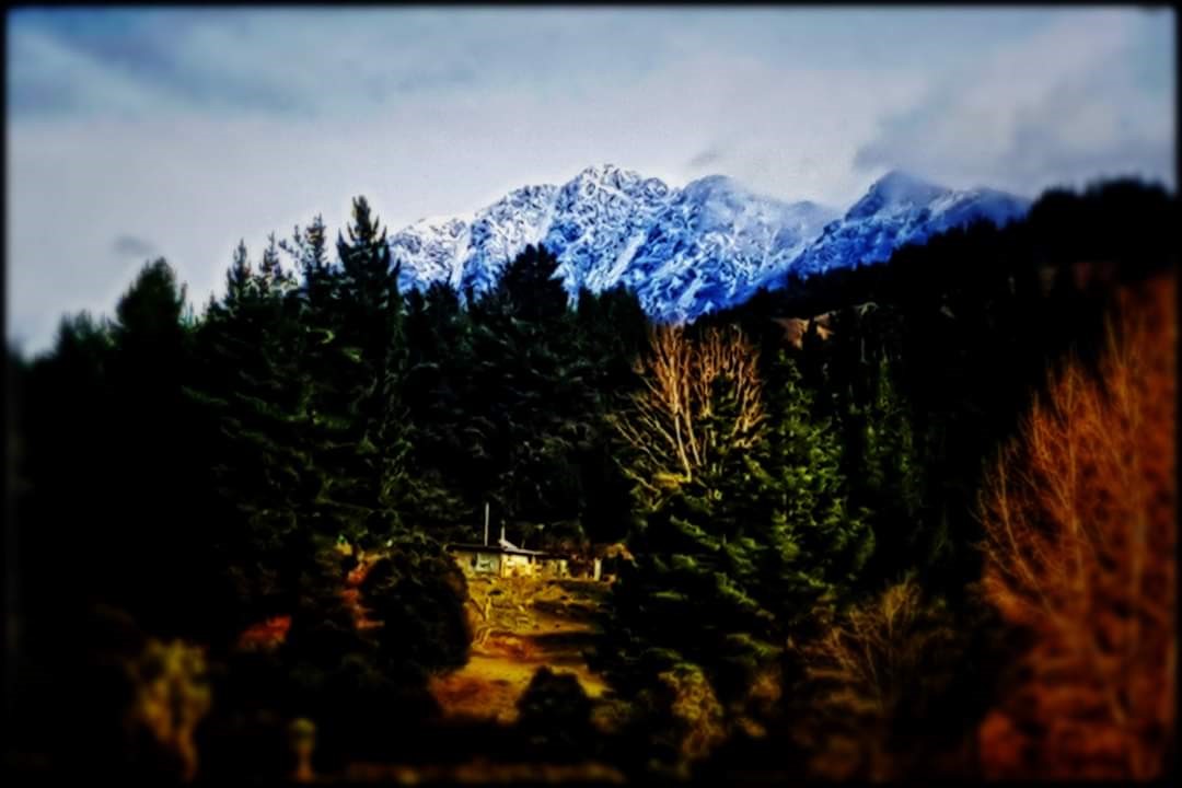 View of Mt Patriarch from our boundary