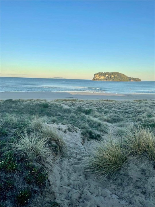Sand dunes down to the beach